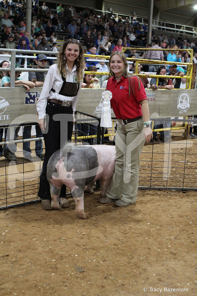 swine0605