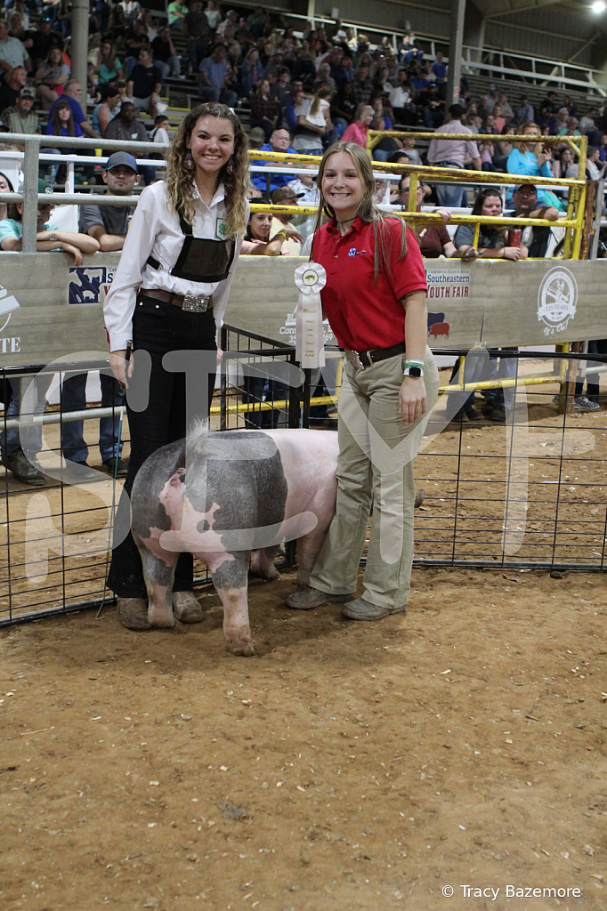 swine0604