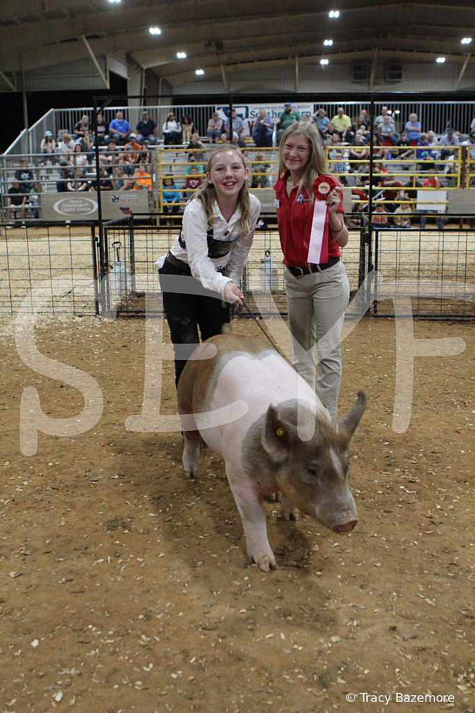 swine0609