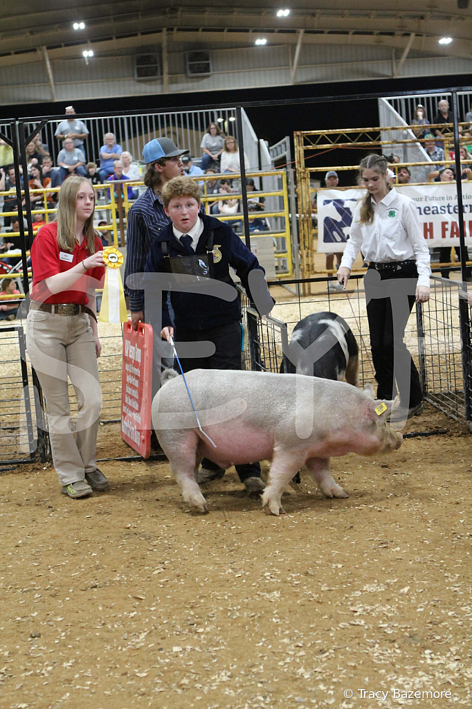 swine0611