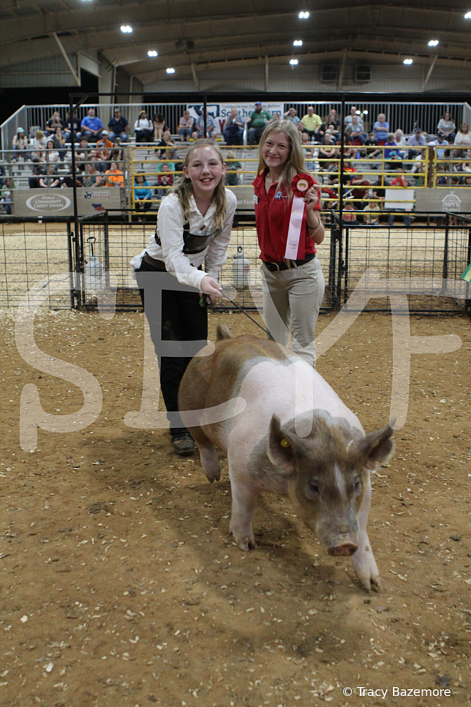 swine0610