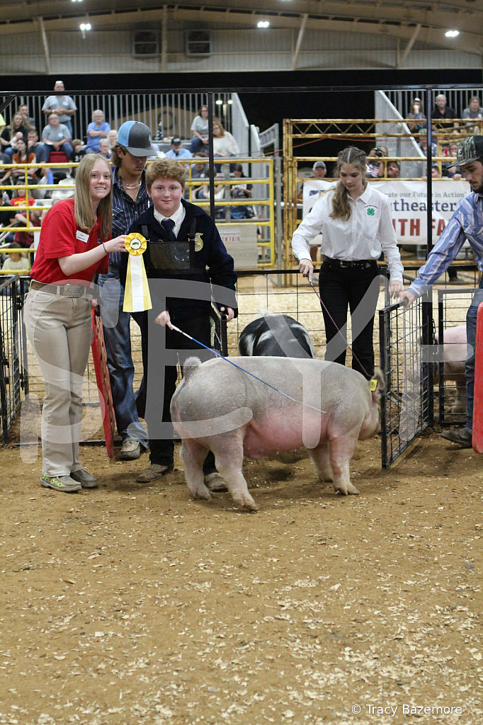 swine0612