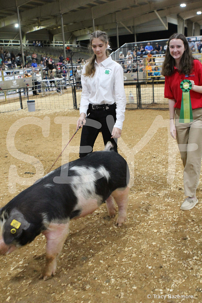 swine0613