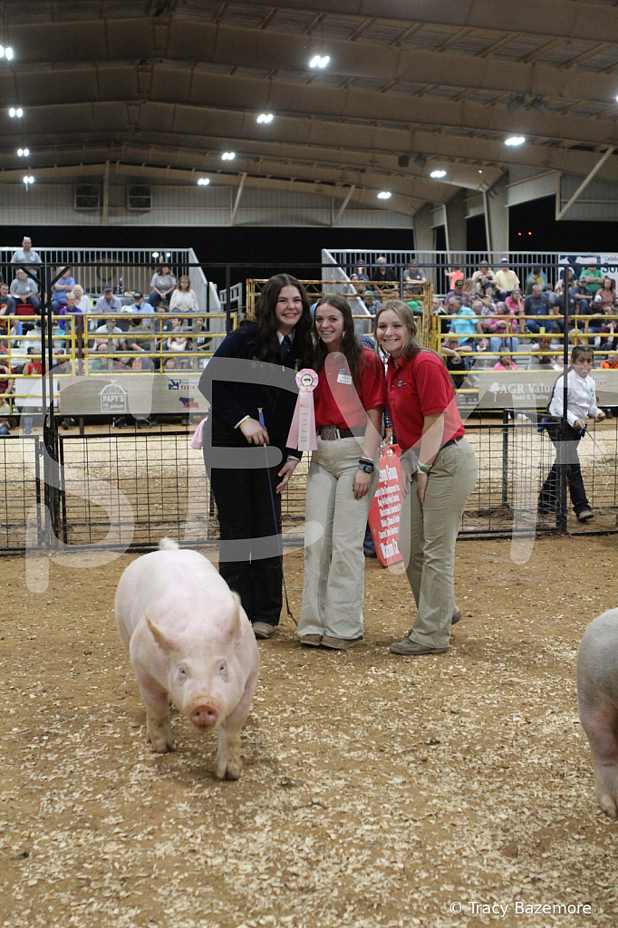 swine0614