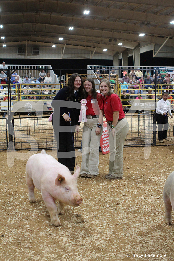 swine0615