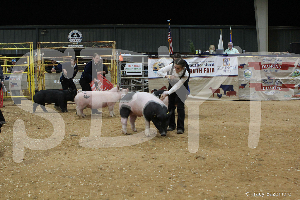 swine0625