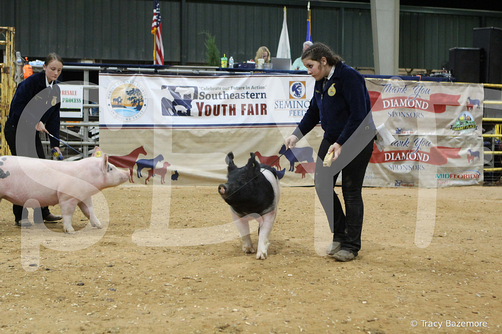 swine0626