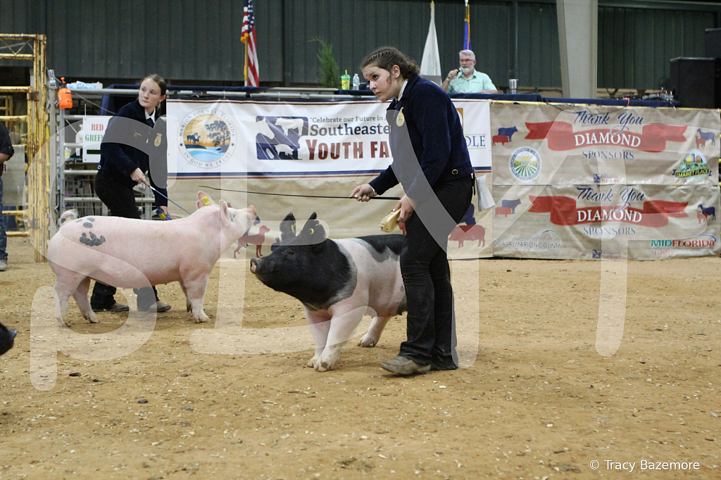 swine0627