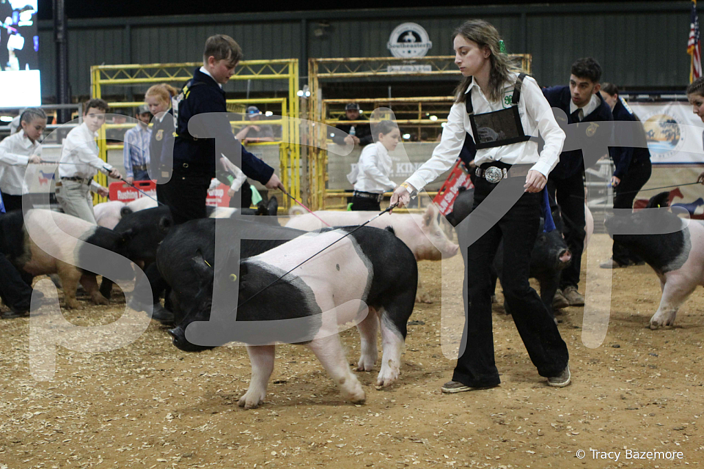 swine0628