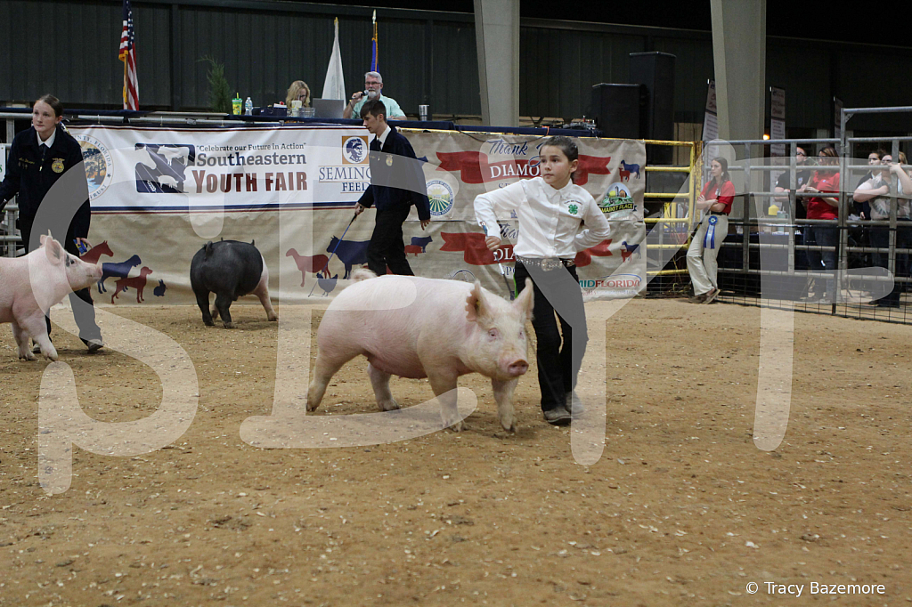 swine0629