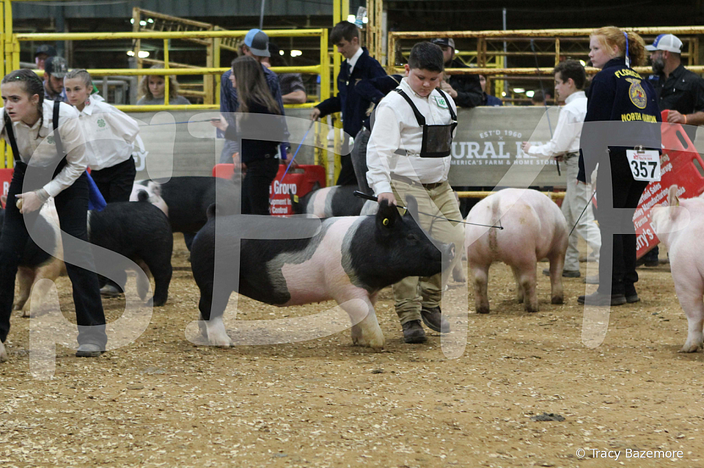 swine0631