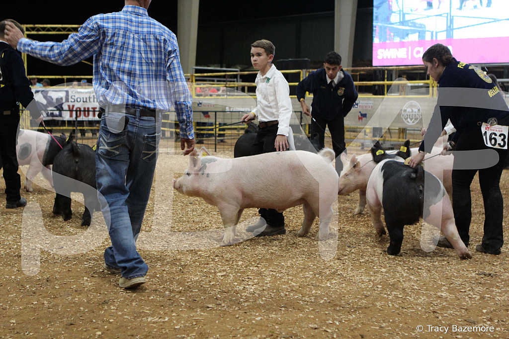 swine0632
