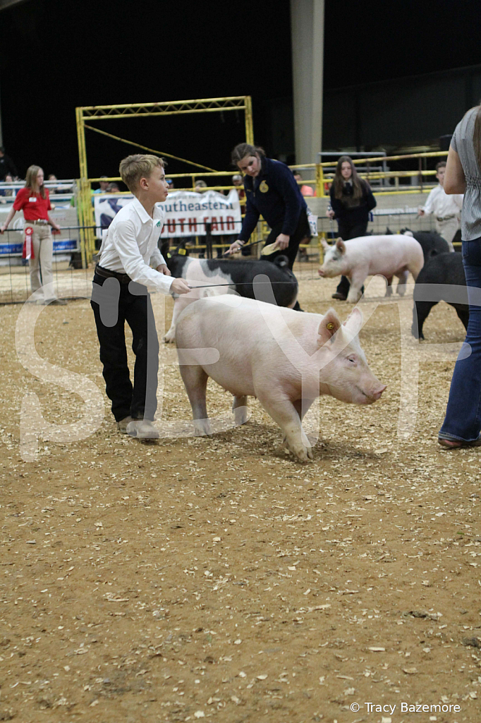 swine0633