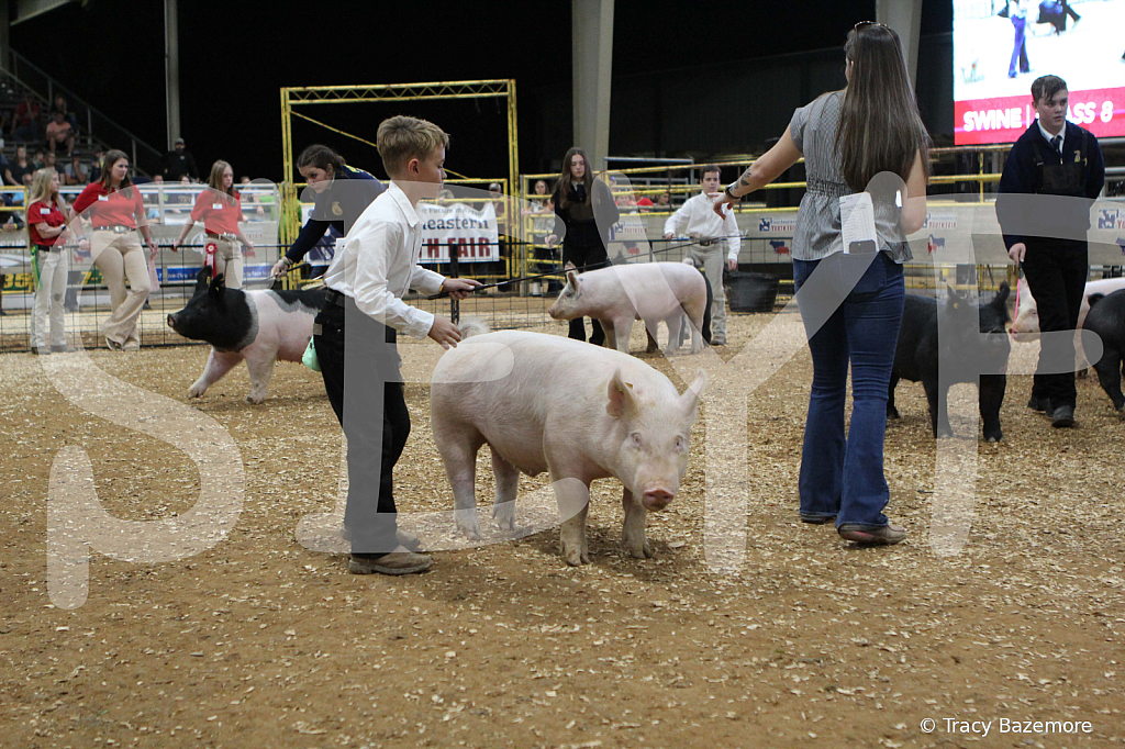 swine0634