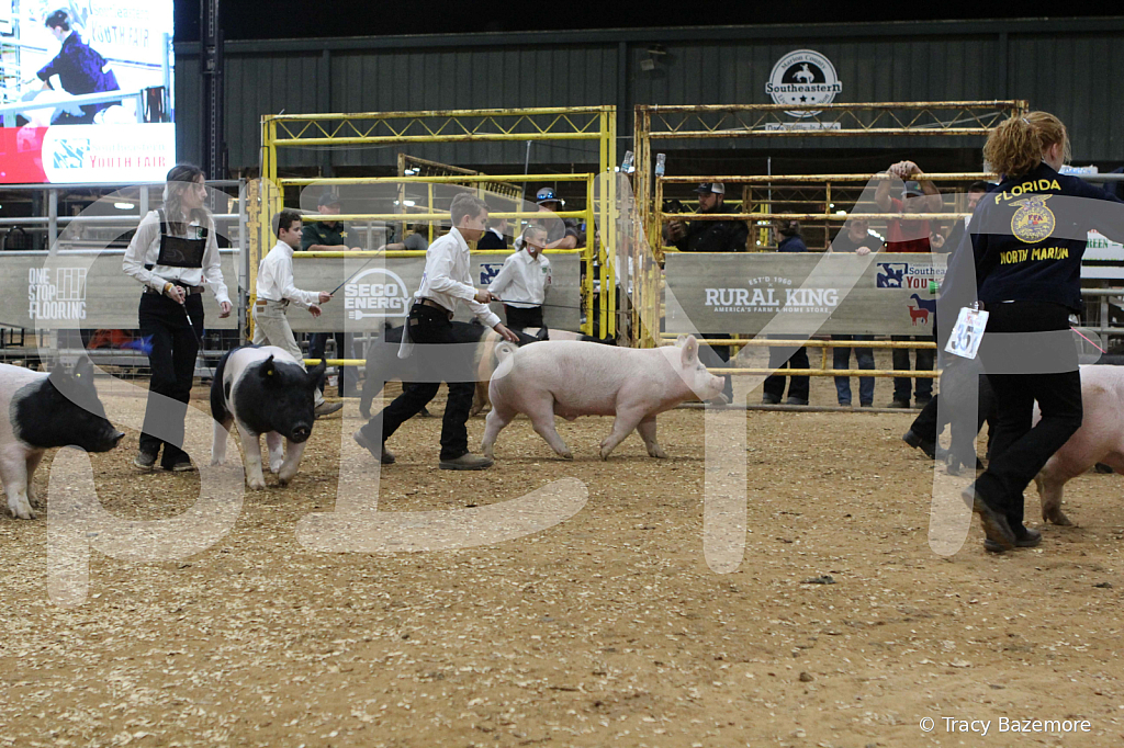 swine0635