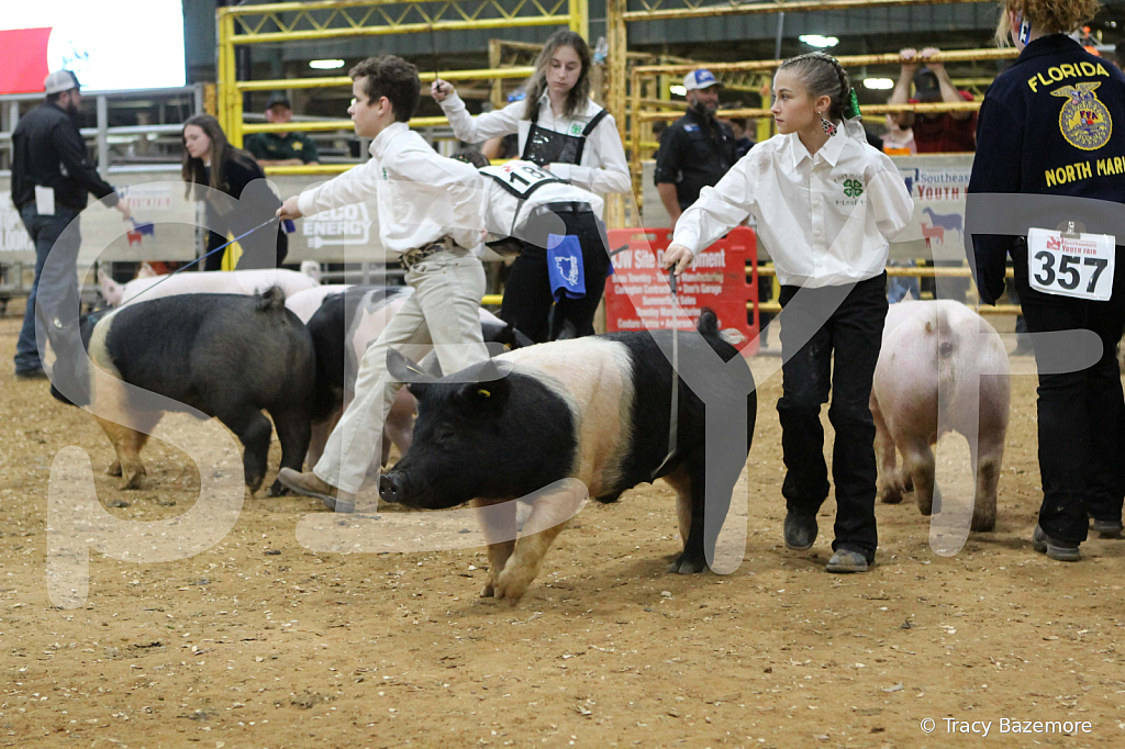 swine0638