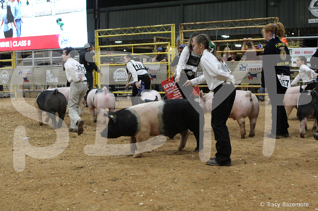 swine0639