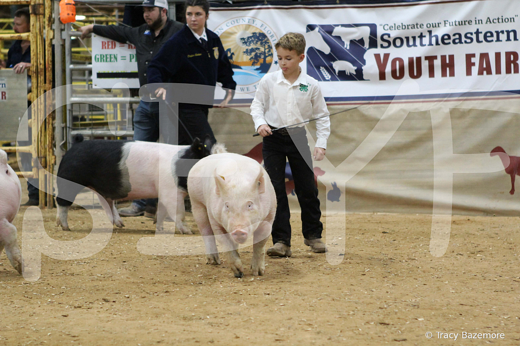 swine0641