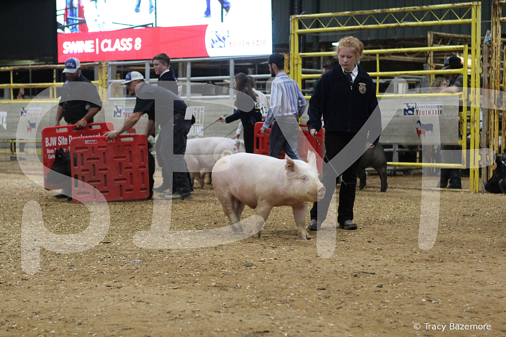 swine0642
