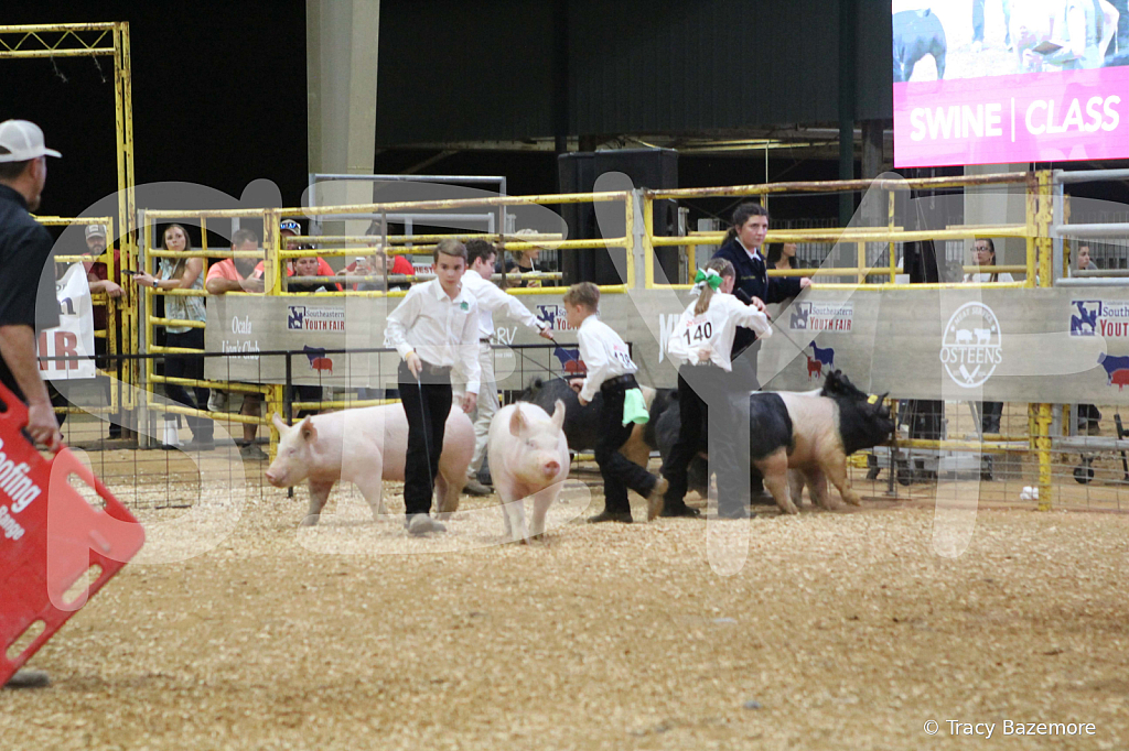 swine0643