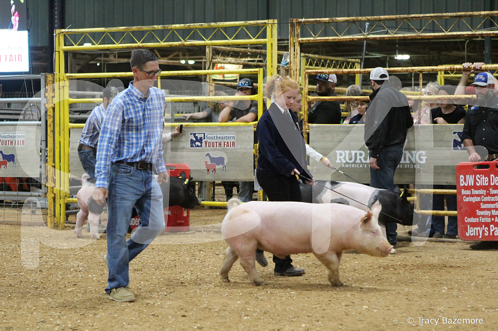 swine0644