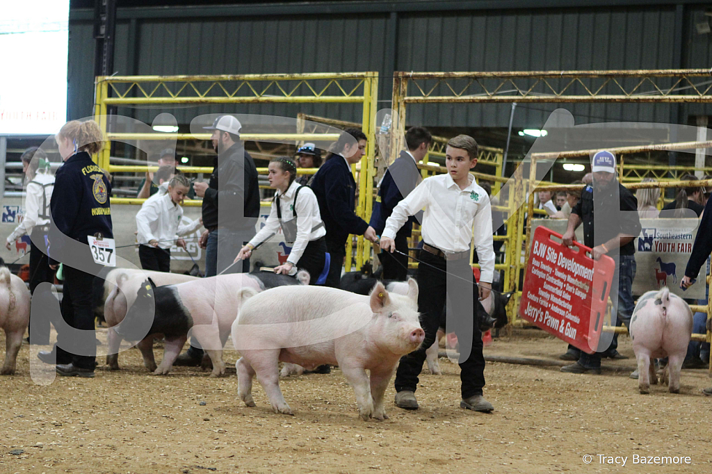 swine0645
