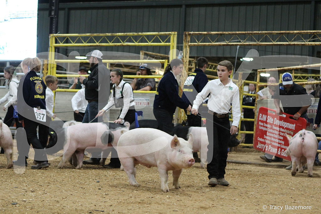 swine0646
