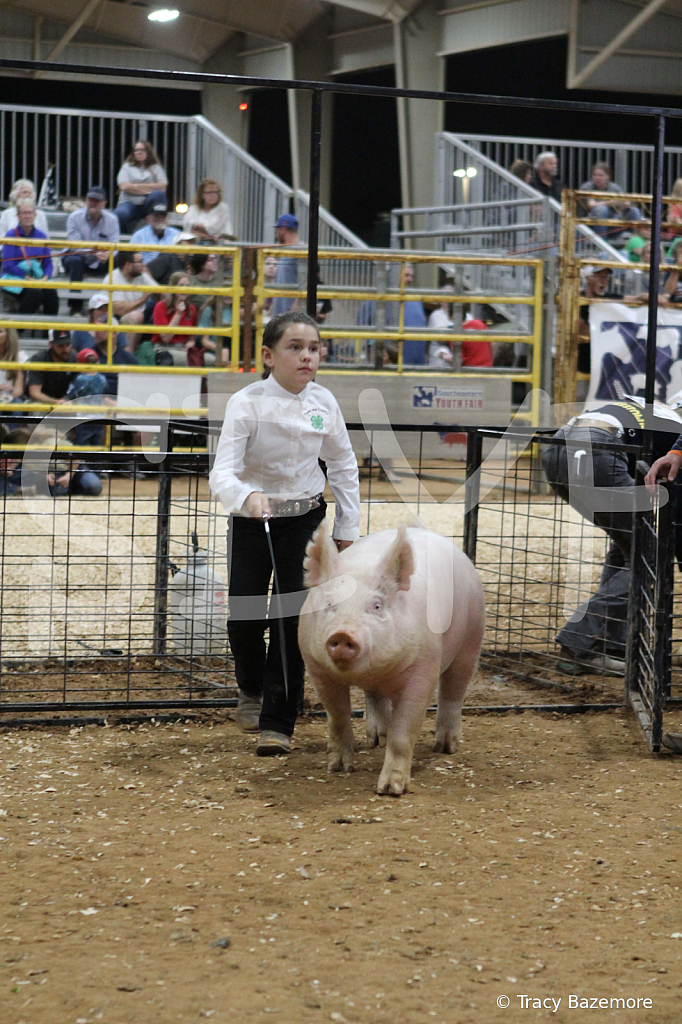 swine0647