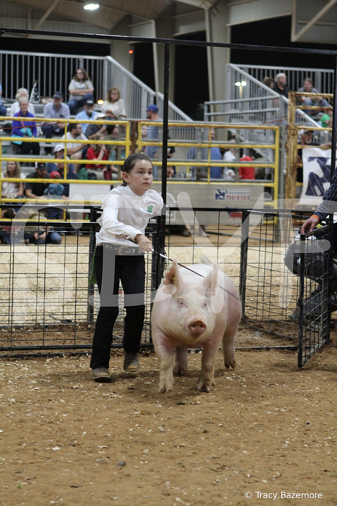 swine0648