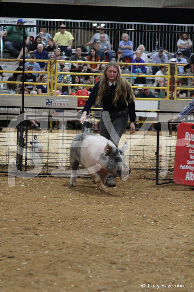 swine0650