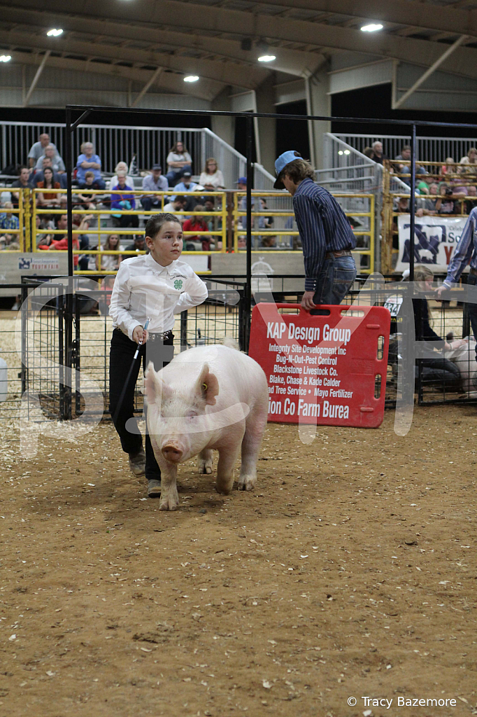 swine0649