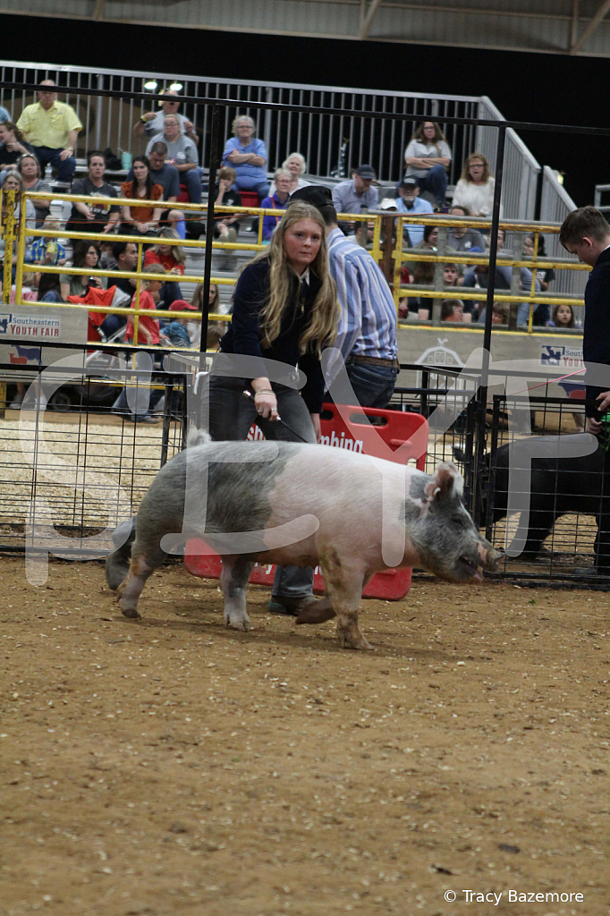 swine0651