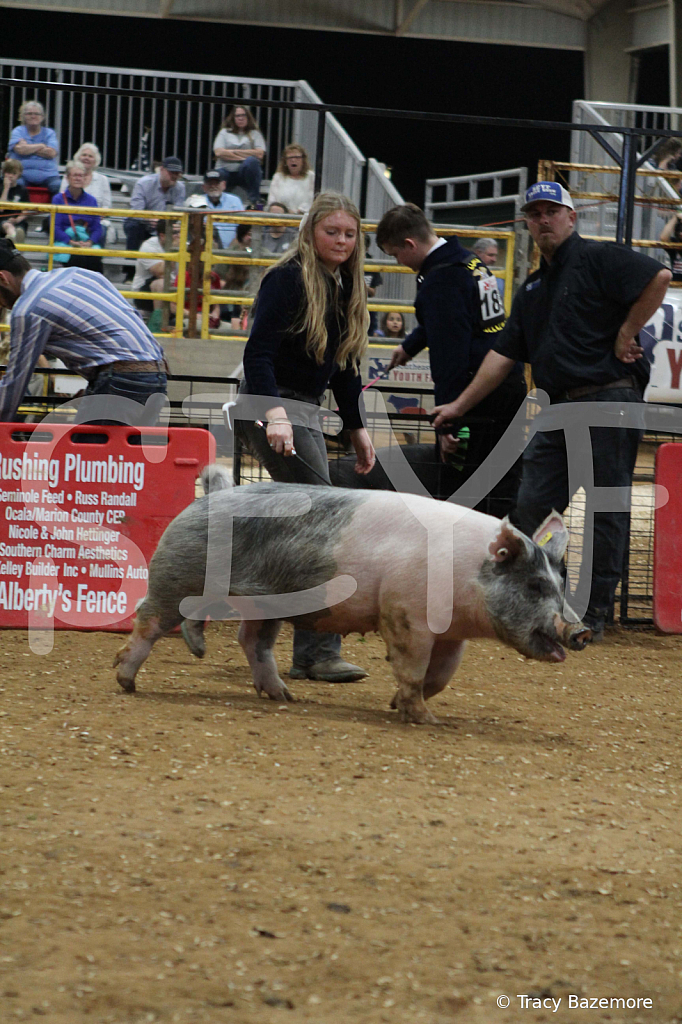 swine0652