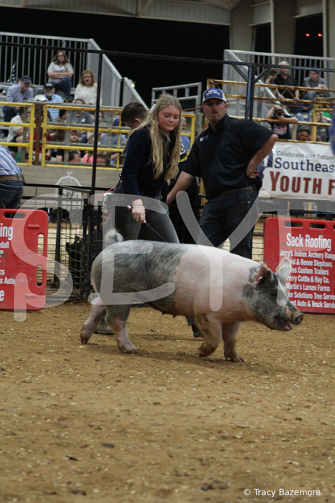 swine0653