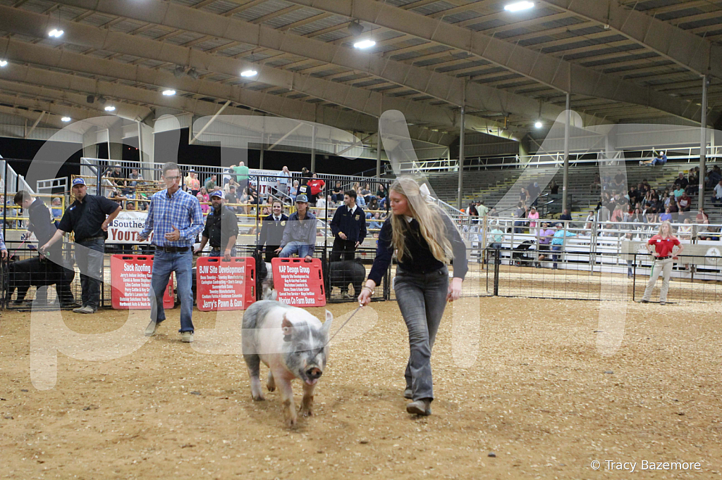 swine0654
