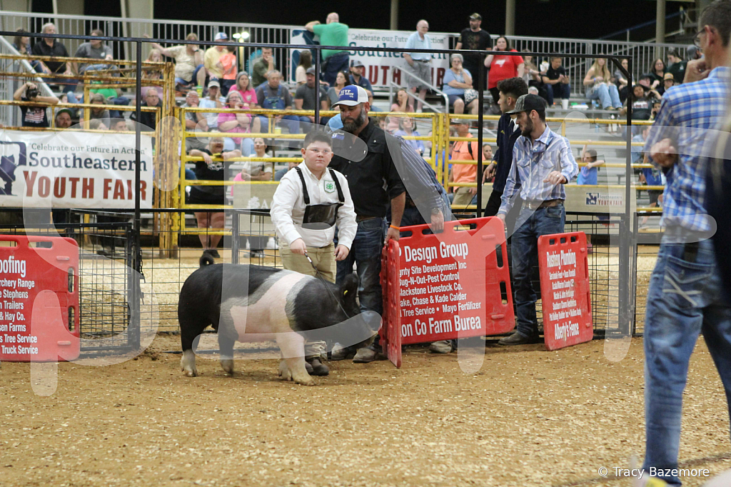 swine0658