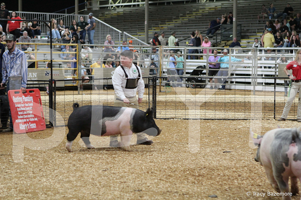 swine0660