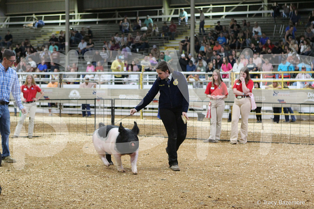 swine0662