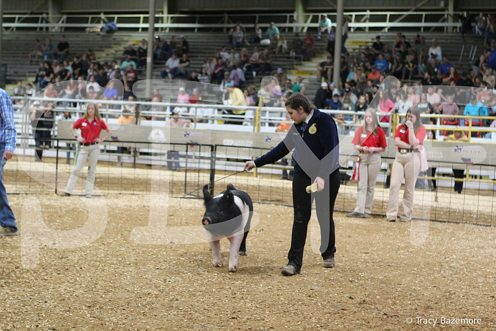swine0663