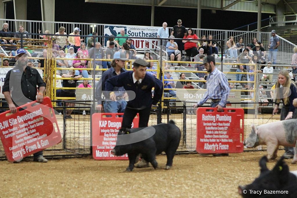 swine0665