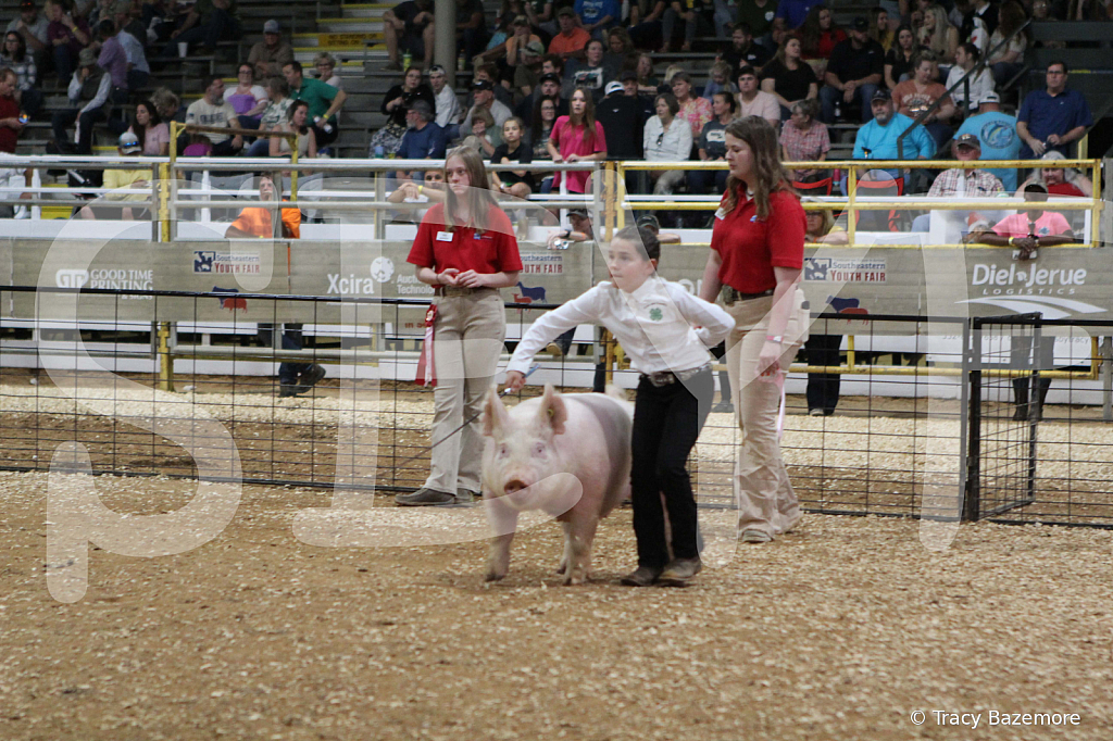 swine0668