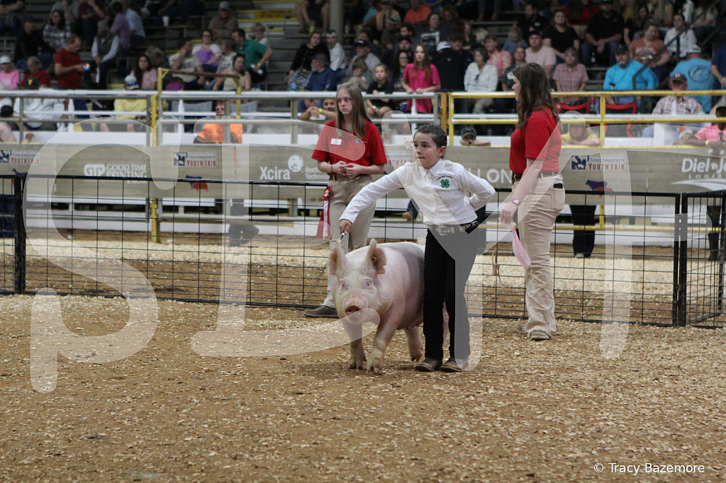 swine0669
