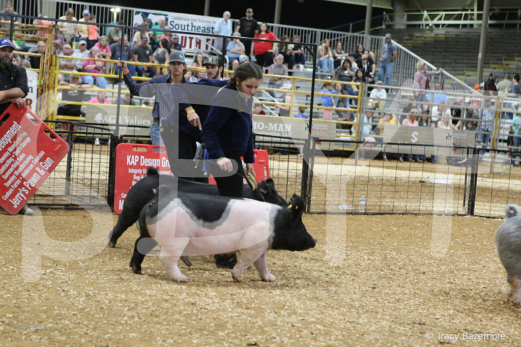 swine0670