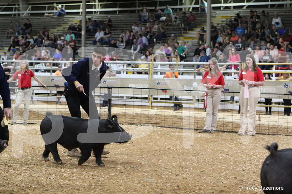 swine0671
