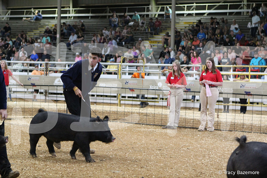swine0672
