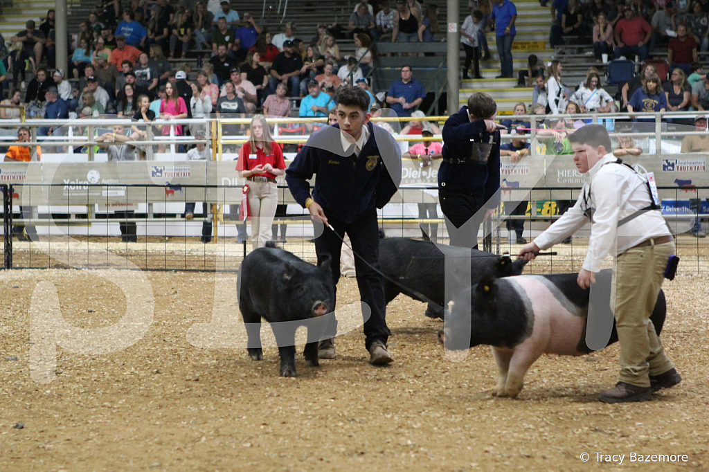 swine0673