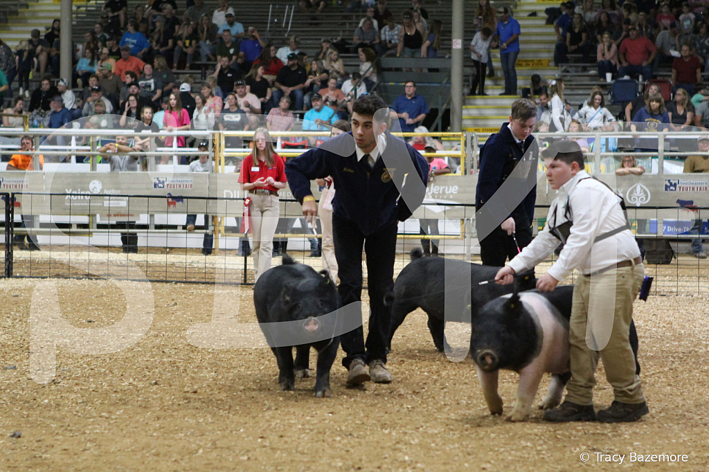 swine0674