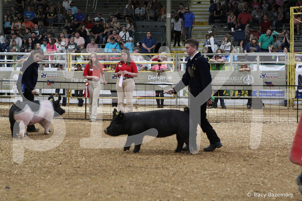 swine0676