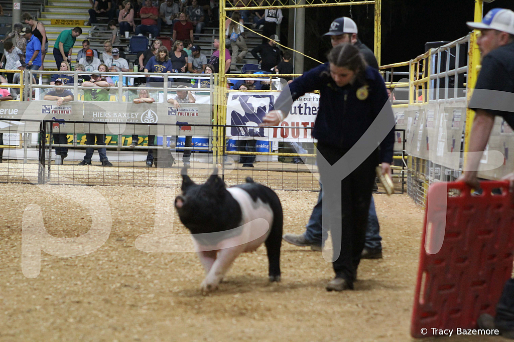 swine0678