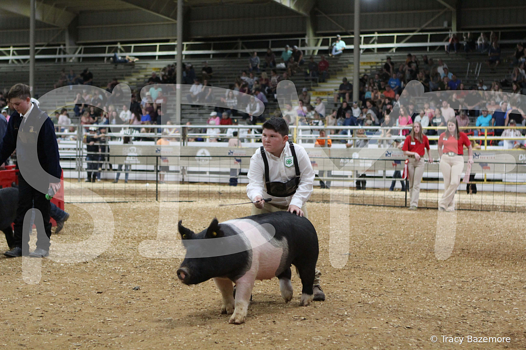swine0679